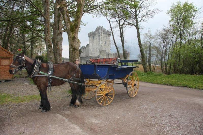Lake Lodge Guesthouse Killarney Luaran gambar