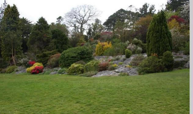 Lake Lodge Guesthouse Killarney Luaran gambar
