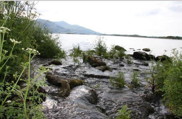 Lake Lodge Guesthouse Killarney Luaran gambar