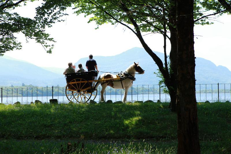 Lake Lodge Guesthouse Killarney Luaran gambar
