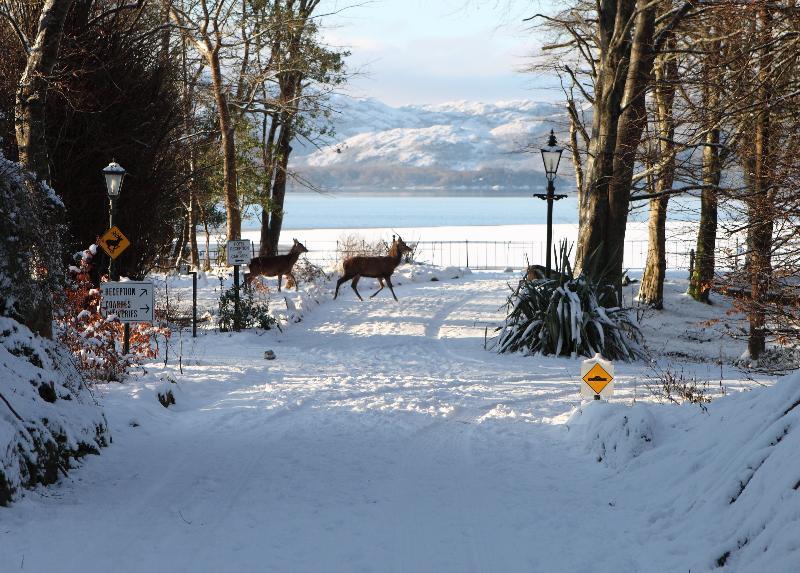 Lake Lodge Guesthouse Killarney Luaran gambar